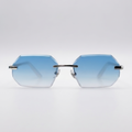 Montelier® LX20